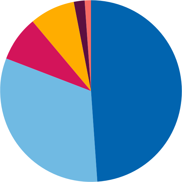 Demographic Breakdown